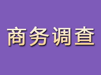 满洲里商务调查